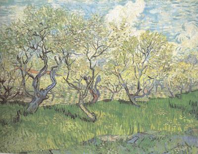 Vincent Van Gogh Orchard in Blossom (nn04) Spain oil painting art